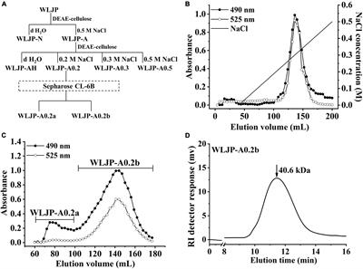 Structural characterization and <mark class="highlighted">anti-oxidation</mark> activity evaluation of pectin from Lonicera japonica Thunb.